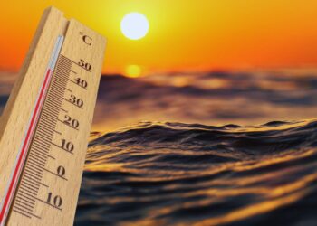 Ondas de calor marinhas revelam colapso iminente na costa brasileira