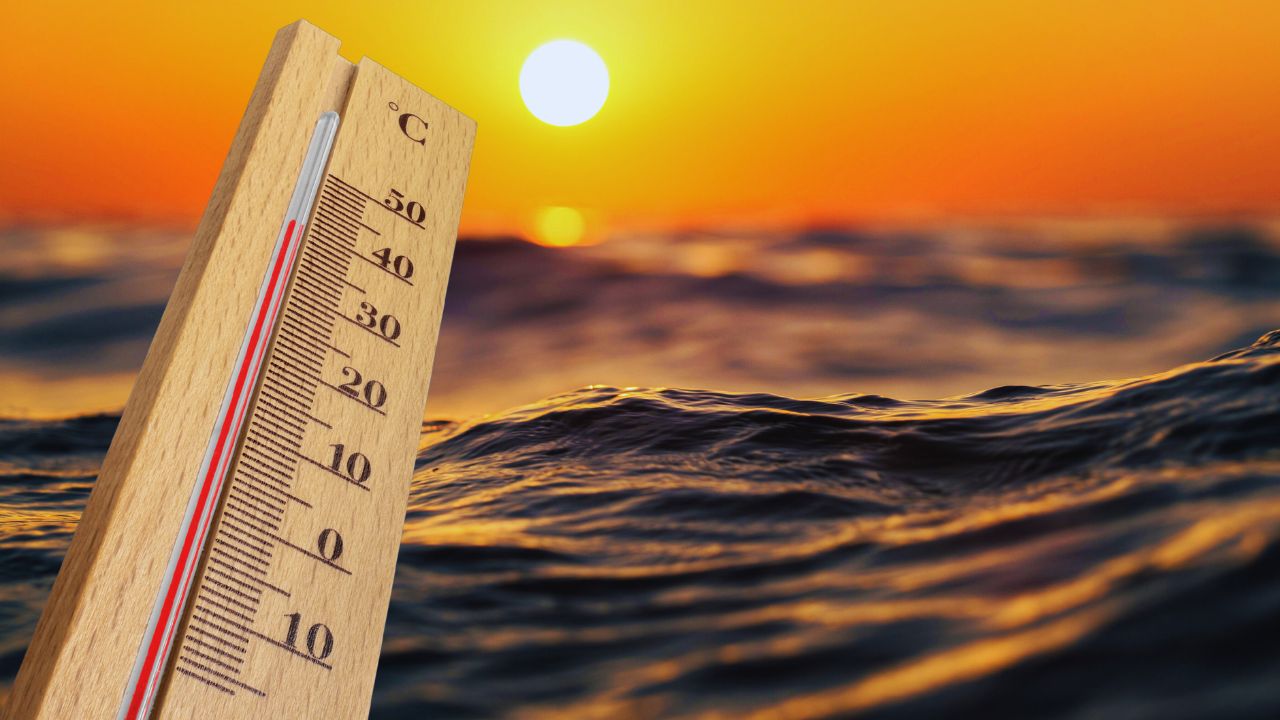 Ondas de calor marinhas revelam colapso iminente na costa brasileira