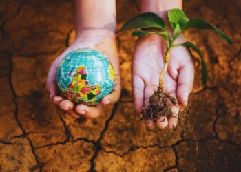 Sobrecarga de recursos naturais: o Dia da Sobrecarga da Terra revela cenário alarmante