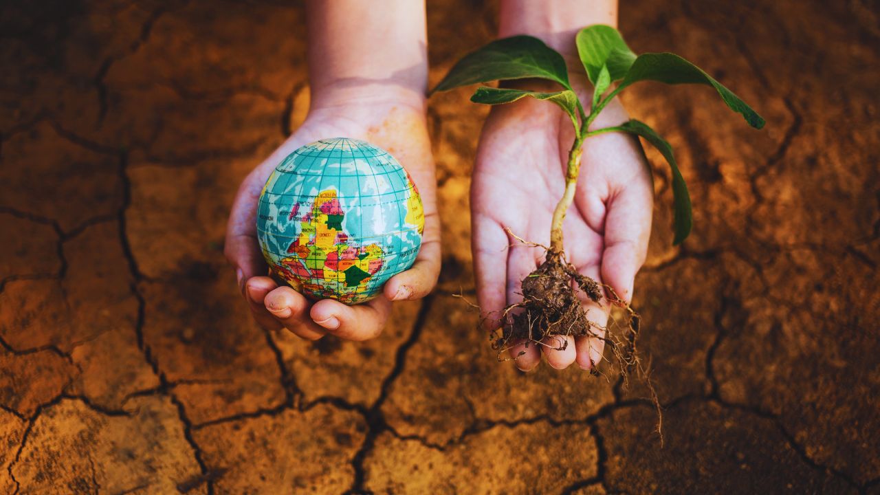 Sobrecarga de recursos naturais: o Dia da Sobrecarga da Terra revela cenário alarmante