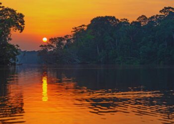 Congresso Eucarístico de Porto Velho celebra centenário com missão encarnada na Amazônia
