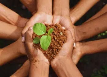 Papa Leão XIV pede paz e conversão ecológica no Dia Mundial da Criação