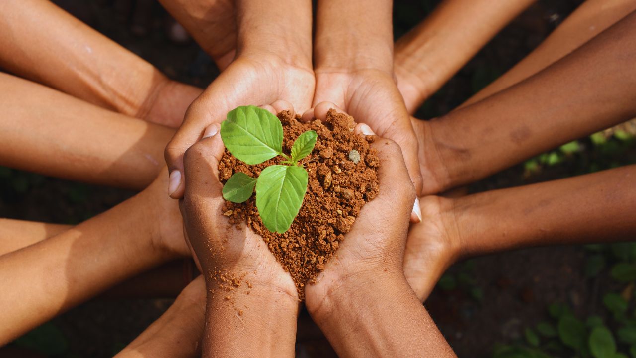 Papa Leão XIV pede paz e conversão ecológica no Dia Mundial da Criação