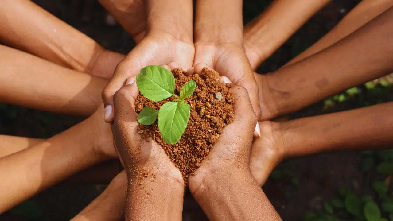 Papa Leão XIV pede paz e conversão ecológica no Dia Mundial da Criação