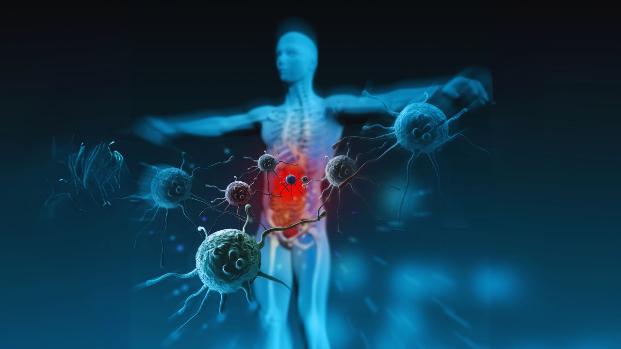 Doenças autoimunes: quando o corpo se volta contra si mesmo