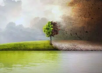 5 filmes e séries que exploram tramas de cunho ambientalista