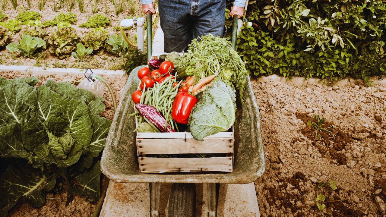 Agricultura familiar recebe R$ 60 milhões do BNDES para bioinsumos