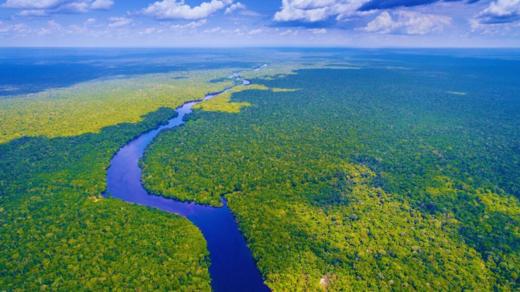 Brasil lidera fundo global para florestas tropicais com o TFFF