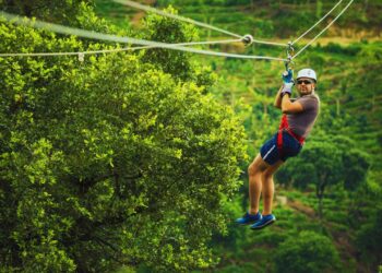 Modelo de concessão de parques naturais e urbanos é aprovado por gestores públicos