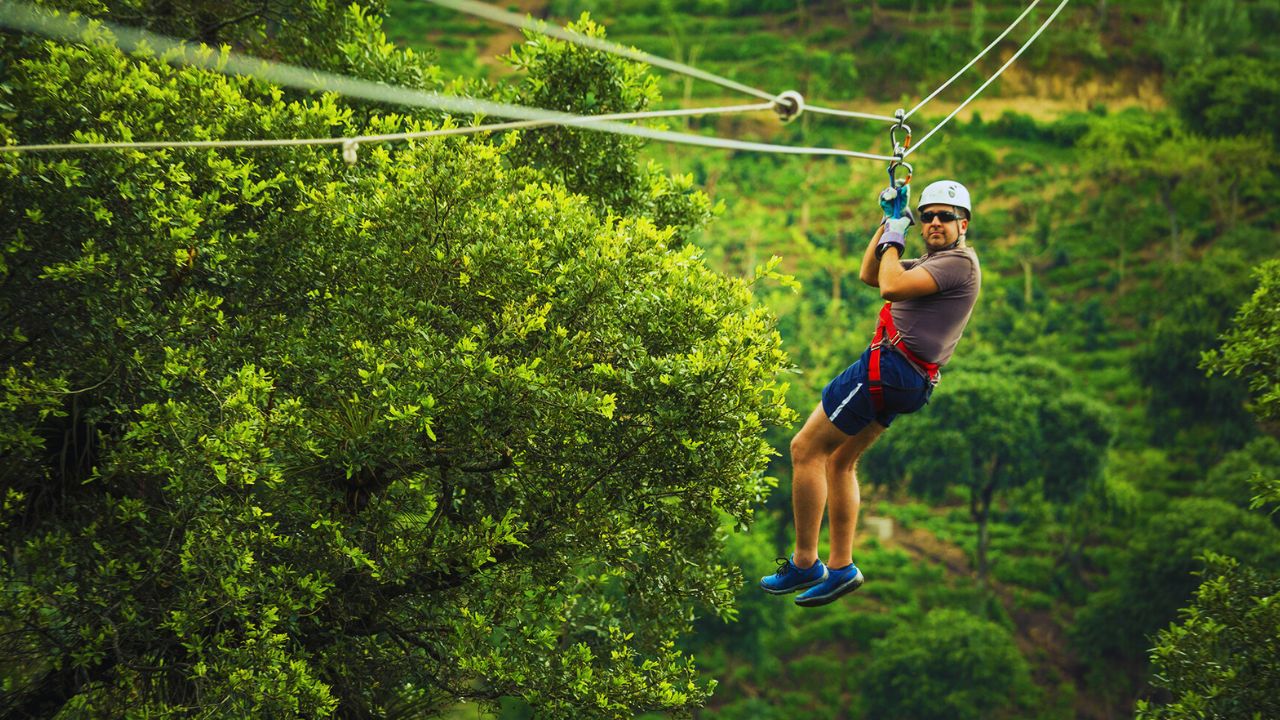 Modelo de concessão de parques naturais e urbanos é aprovado por gestores públicos