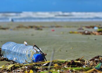 Pescadores retiram 46 toneladas de lixo das baías de Guanabara e Sepetiba