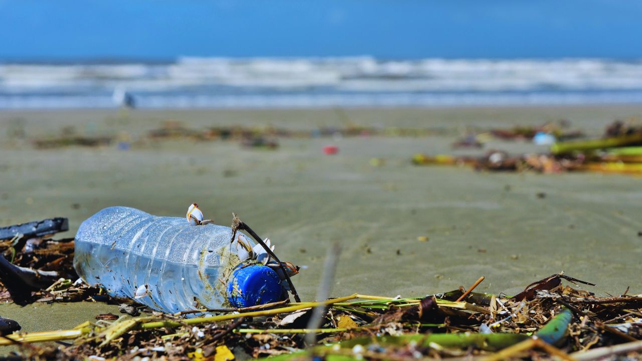 Pescadores retiram 46 toneladas de lixo das baías de Guanabara e Sepetiba