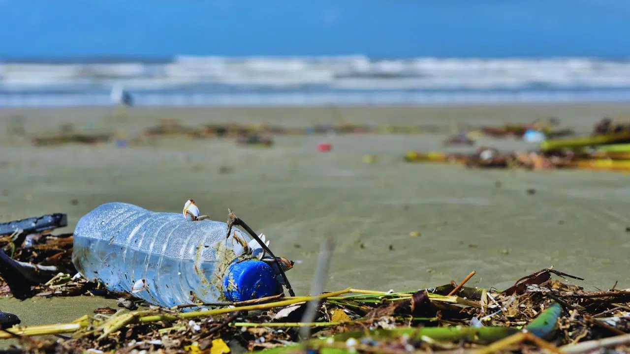 Pescadores retiram 46 toneladas de lixo das baías de Guanabara e Sepetiba
