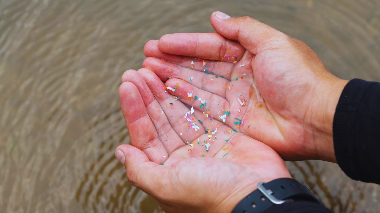 Pesquisadores propõem estratégias para combater os microplásticos no Brasil