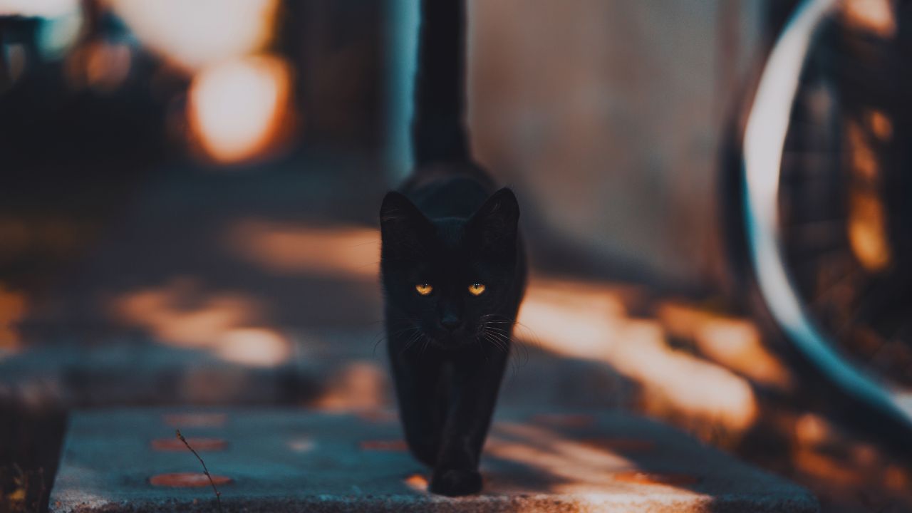 Como integrar as superstições de agosto em sua vida espiritual