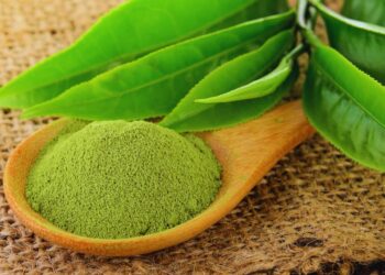 Chá verde: benefícios, usos medicinais e como utilizar no dia a dia