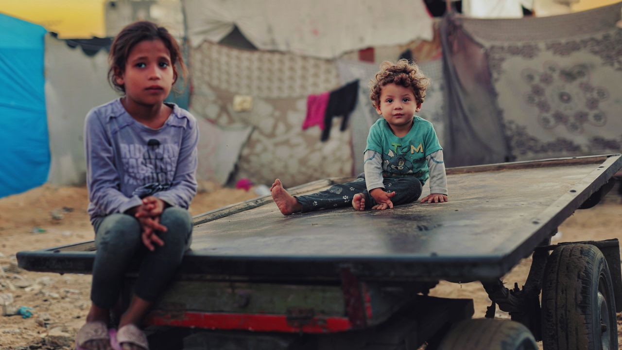 Delegação brasileira integra flotilha de ajuda humanitária a Gaza