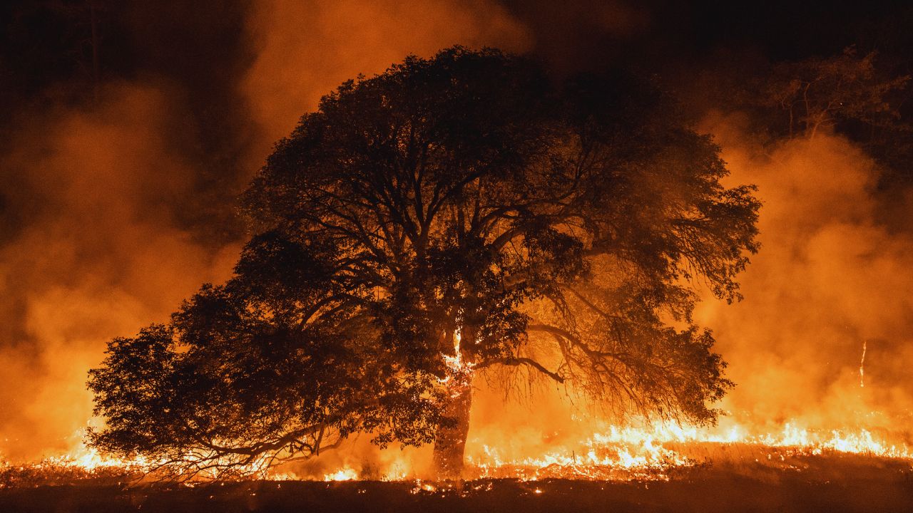 Queimadas em 2025 colocam o ano entre os cinco piores da série histórica