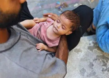 Papa Leão XIV liga para pároco de Gaza e reforça proximidade com fiéis