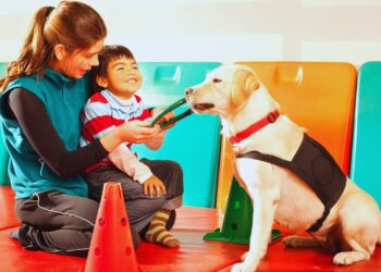 Terapia com animais: a força da cura no vínculo humano e animal