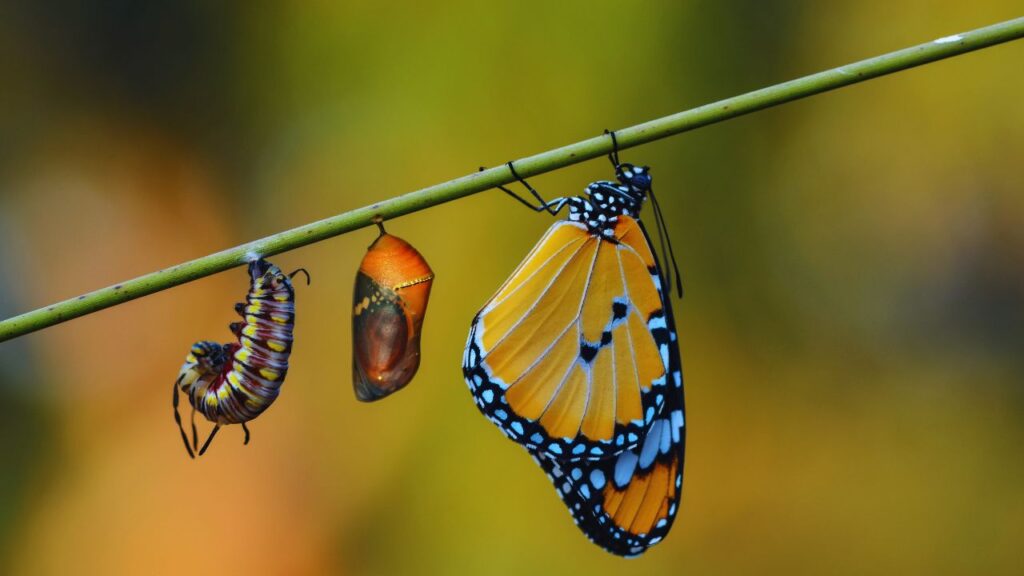 Estudos de casos espirituais: histórias de transformação durante o equinócio