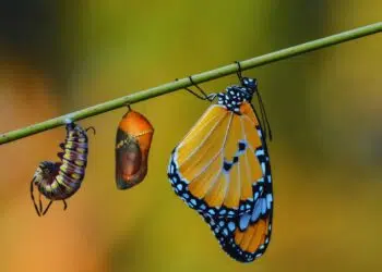 Estudos de casos espirituais: histórias de transformação durante o equinócio