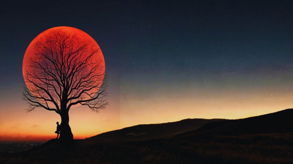 O ciclo da lua cheia em novembro: rituais de purificação e manifestação