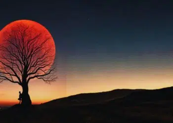 O ciclo da lua cheia em novembro: rituais de purificação e manifestação