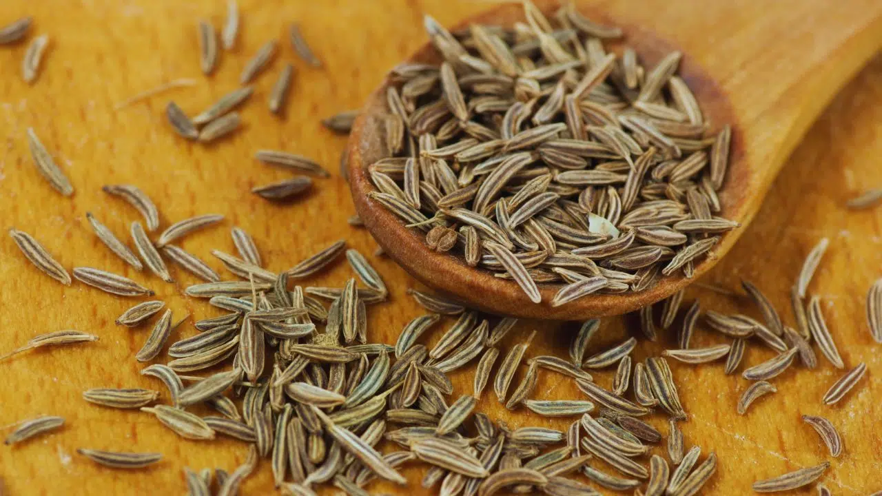 Kummel: benefícios, usos medicinais e como utilizar no dia a dia