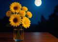 Simpatia com flores amarelas para prosperidade