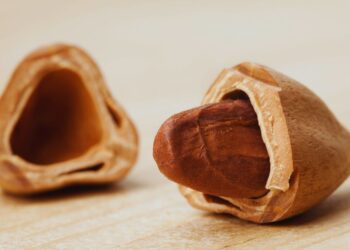 Noz de pili: benefícios, usos medicinais e como utilizar no dia a dia