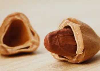 Noz de pili: benefícios, usos medicinais e como utilizar no dia a dia