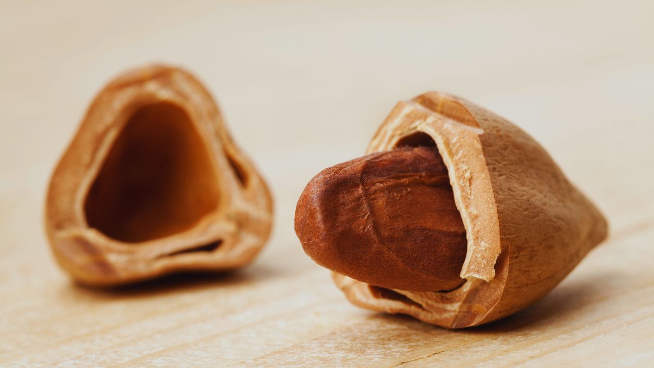 Noz de pili: benefícios, usos medicinais e como utilizar no dia a dia