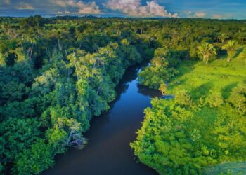Quase metade da Amazônia Legal está em áreas protegidas, aponta IBGE