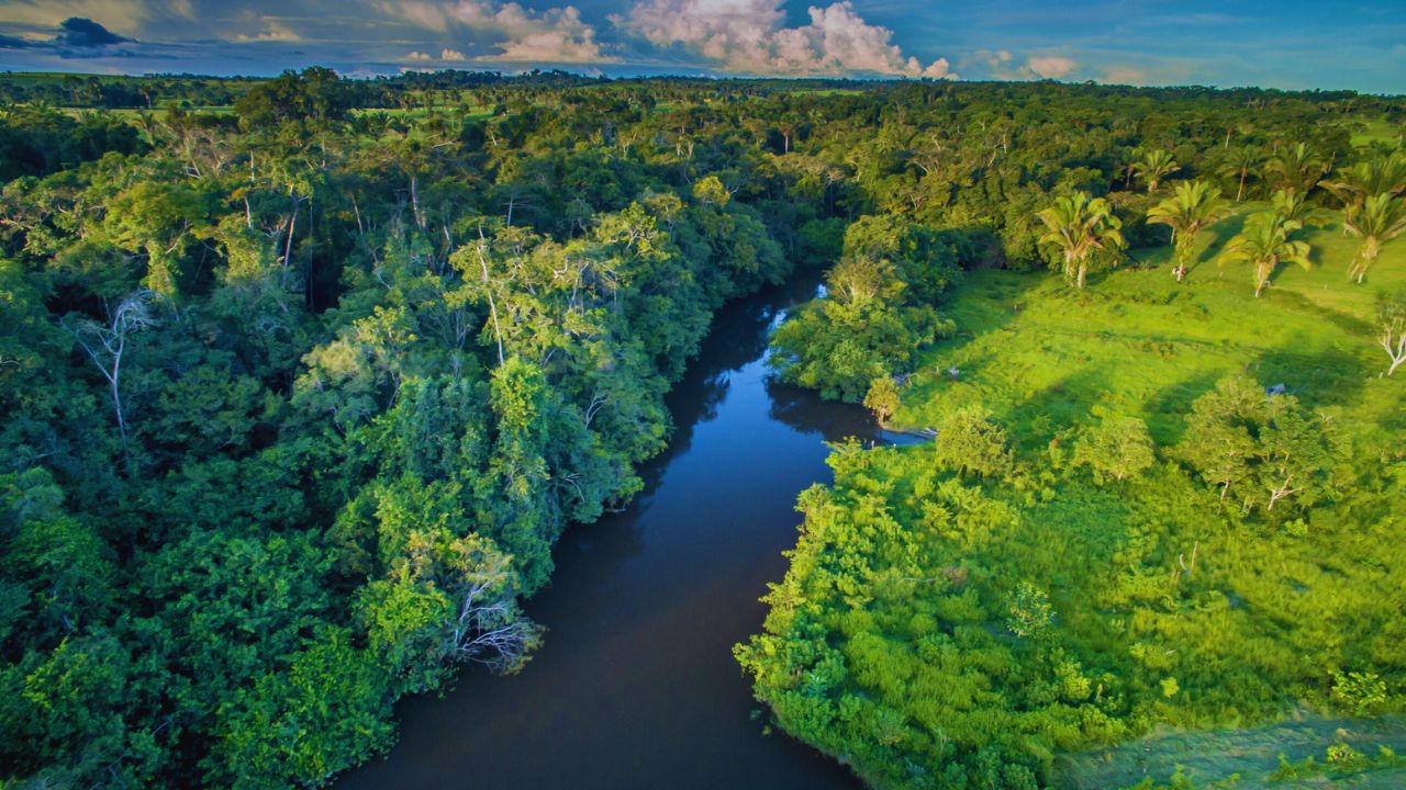 Quase metade da Amazônia Legal está em áreas protegidas, aponta IBGE