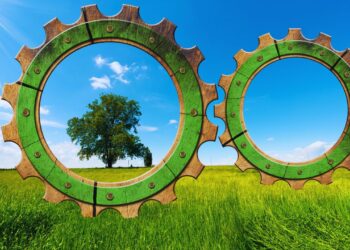 Brasileiros acreditam que economia verde trará novos empregos