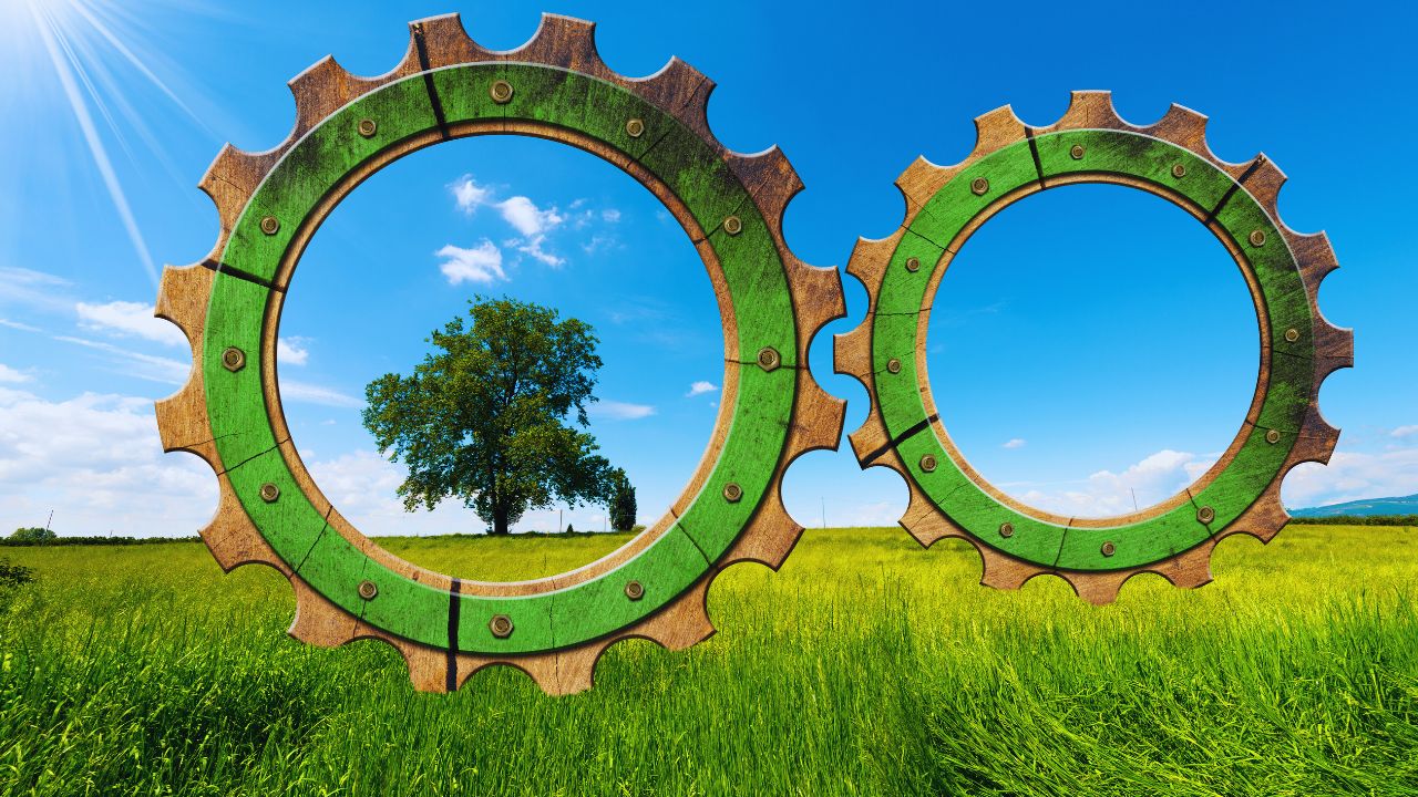 Brasileiros acreditam que economia verde trará novos empregos