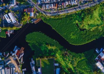 Floresta como economia: o papel da Amazônia na nova era verde