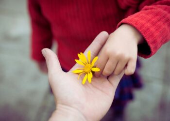 A energia da gratidão na preparação para o fim de ano: rituais de desapego em novembro