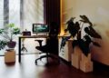 Feng Shui para o home office: como criar harmonia entre trabalho e bem-estar