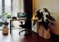 Feng Shui para o home office: como criar harmonia entre trabalho e bem-estar