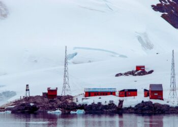 Mapeamento inédito identifica área livre de gelo e cobertura vegetal na Antártica