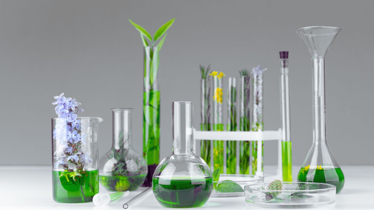 Biodesign: materiais vivos para um futuro regenerativo