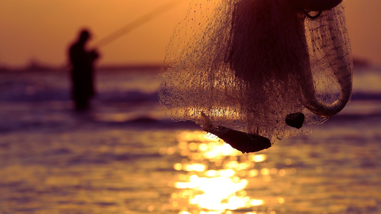 El Niño redefine o equilíbrio do Atlântico e expõe limites da pesca previsível
