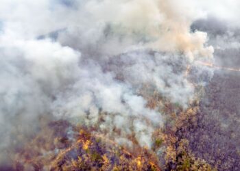 Governo lança painel inédito para rastrear gastos ambientais e climáticos no Brasil
