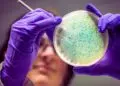 Microbioma urbano: a ecologia invisível que molda cidades