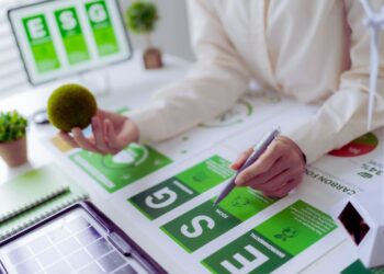 O papel das empresas na sustentabilidade: como elas podem (e devem) mudar