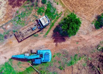 Exportadores de soja deixam acordo ambiental e reacendem disputa sobre desmatamento na Amazônia