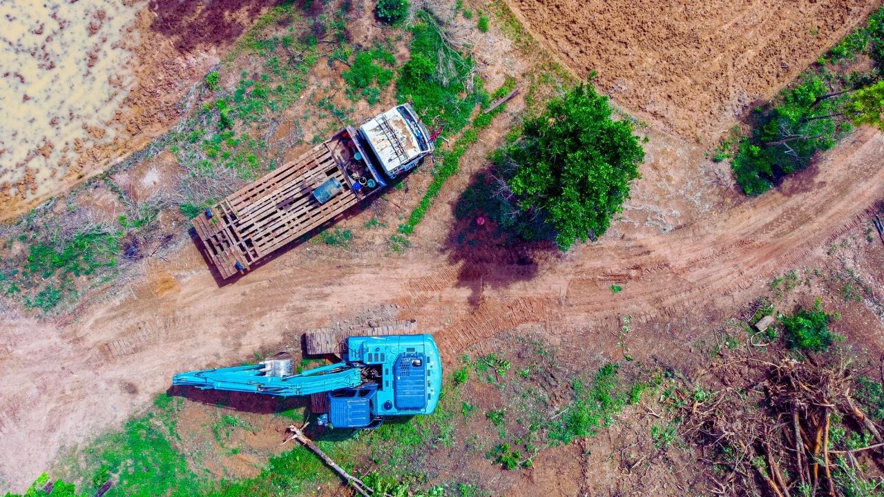 Exportadores de soja deixam acordo ambiental e reacendem disputa sobre desmatamento na Amazônia