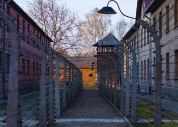 Holocausto: pesquisa revela desconhecimento profundo dos brasileiros